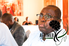 Afrimeb-4