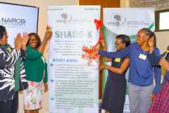 WhatsApp-Image-2025-11-05-at-00.14.10